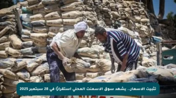 تثبيت الأسعار.. يشهد سوق الأسمنت المحلي استقرارًا في 28 سبتمبر 2025